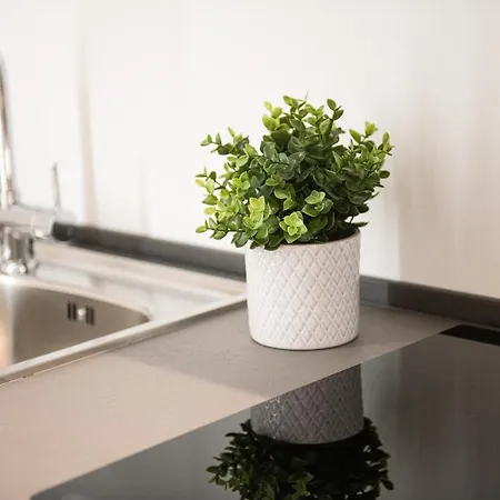 A E C Homedesign Stampace * Κάλιαρι